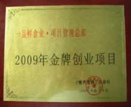 09年金牌創業項目